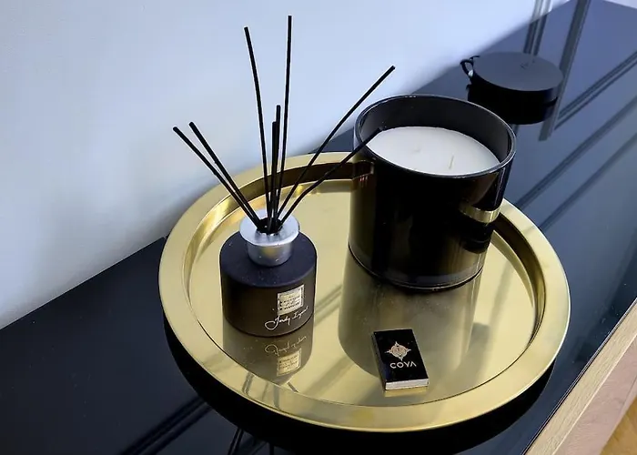 아파트 Luxury In Center Of 니스