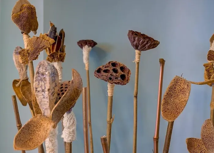 아파트 Luxury In Center Of 니스